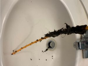 drain-hair-removal-tool