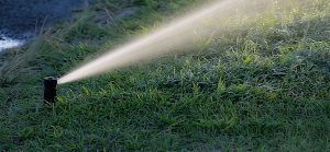 How to Easily Find a Water Leak in Your Front Yard - Plumbing Sniper