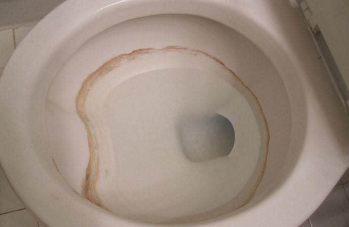 toilet-ring