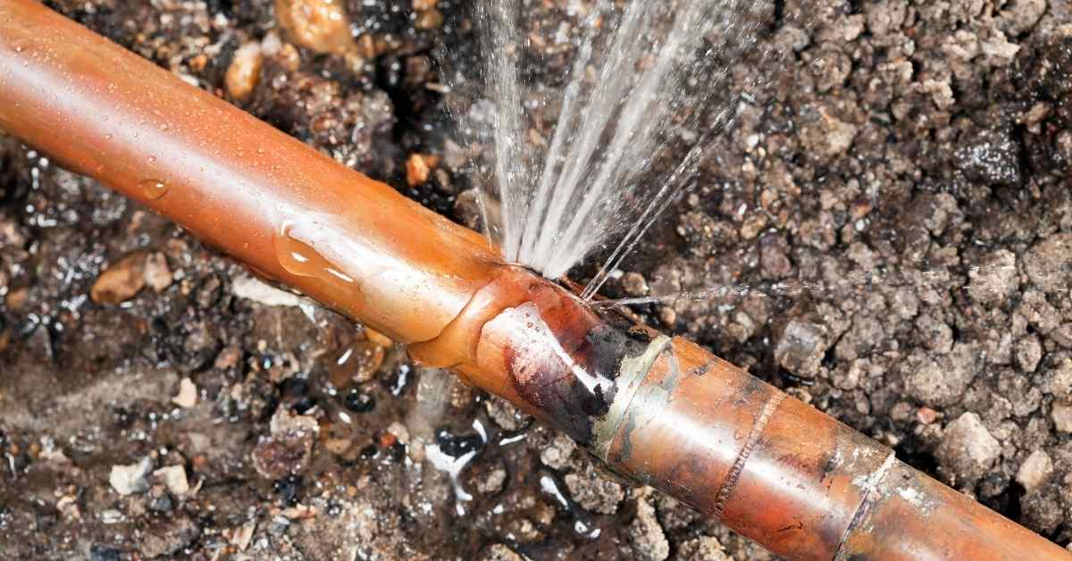 How to Easily Find a Water Leak in Your Front Yard - Plumbing Sniper