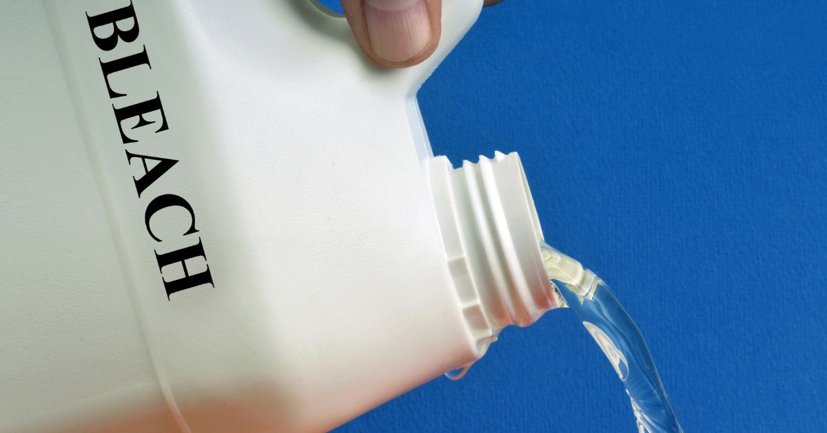 Will Bleach Kill Drain Flies? Do This Instead Plumbing Sniper