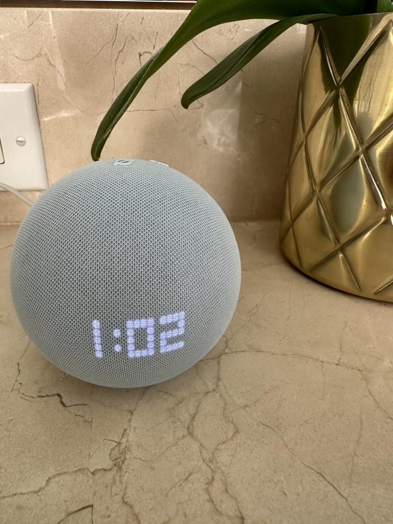 smart speaker